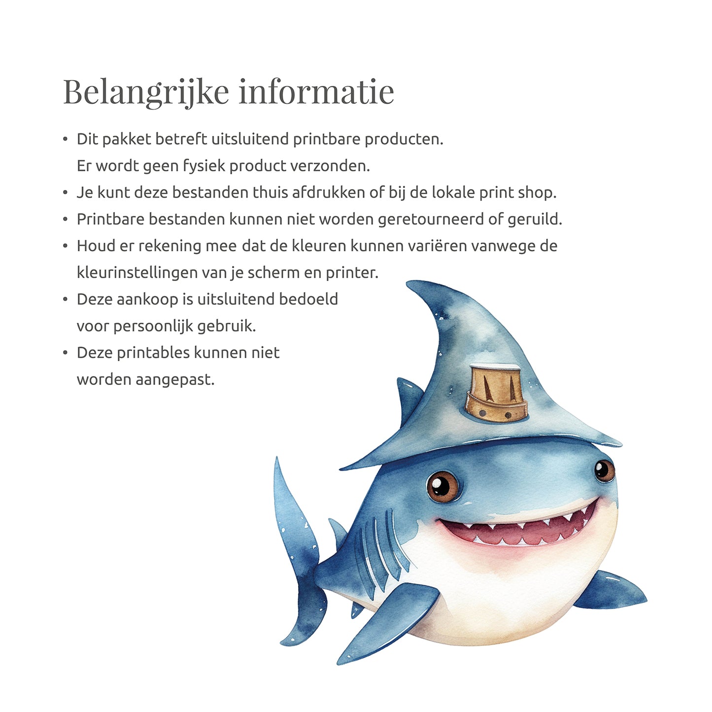 Kinderfeestje "Piraat Sam"
