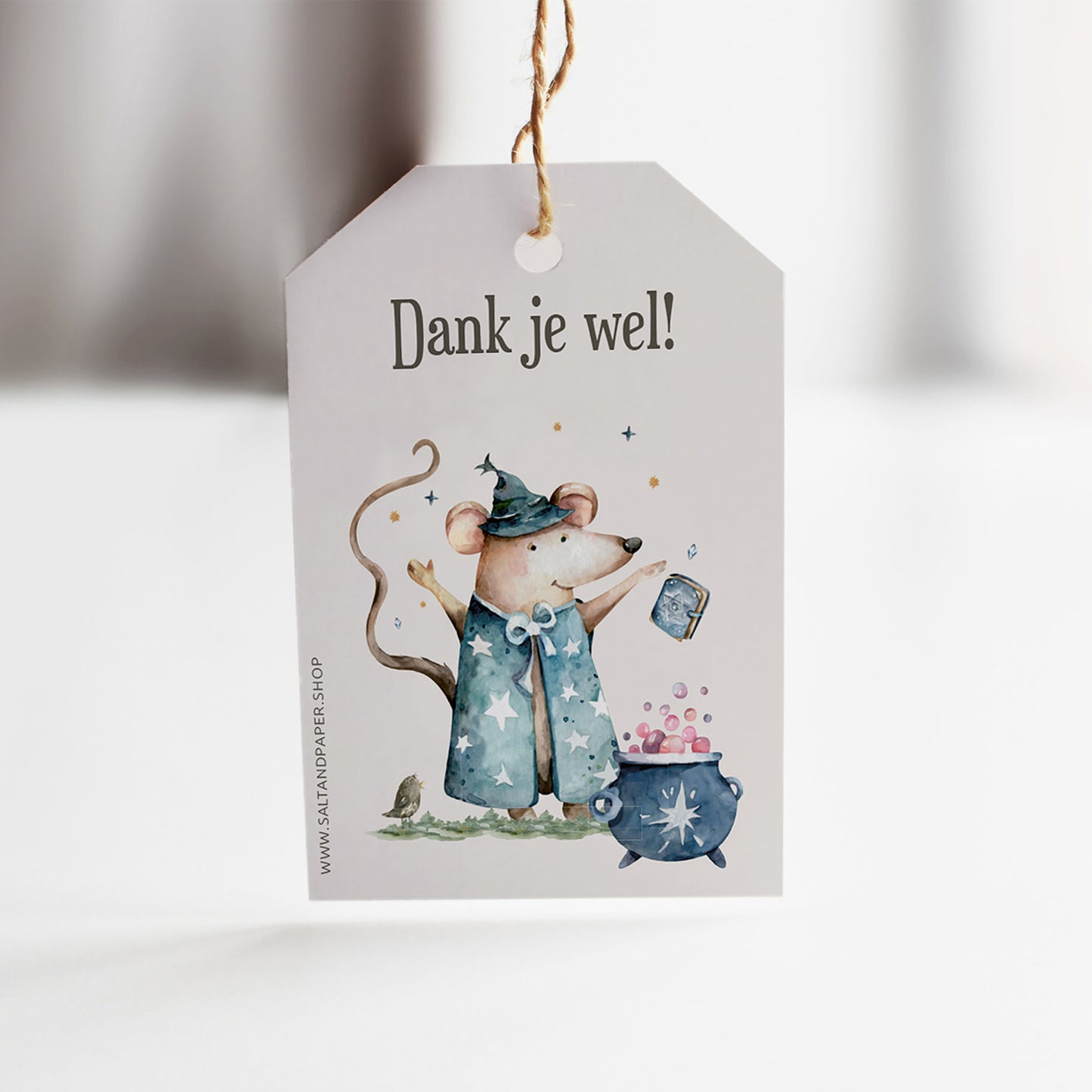 Kinderfeestje "Het verdwenen drakenei"